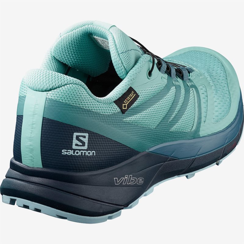 Sense ride 2 gtx invisible sales fit